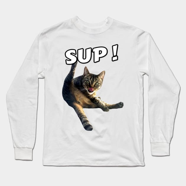 Cat Licking its Butt Long Sleeve T-Shirt by azbotees